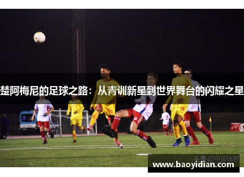 楚阿梅尼的足球之路：从青训新星到世界舞台的闪耀之星